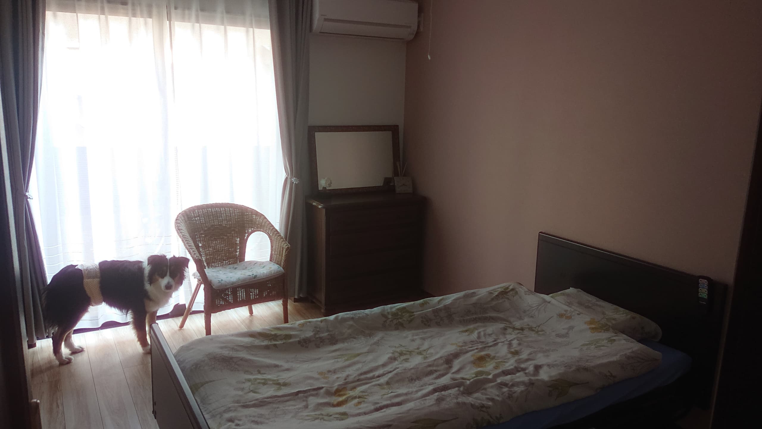 家具を配置したモデルルームの一例です